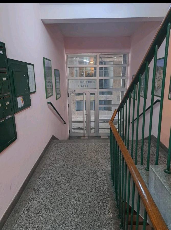 Apartman Milica 2023 贝尔格莱德 外观 照片