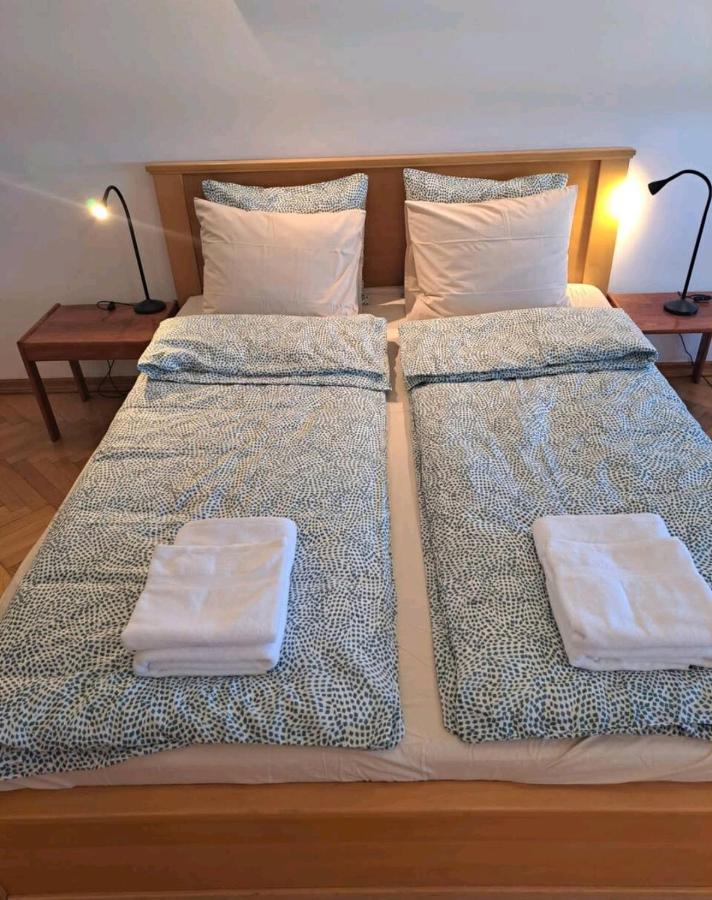 Apartman Milica 2023 贝尔格莱德 外观 照片