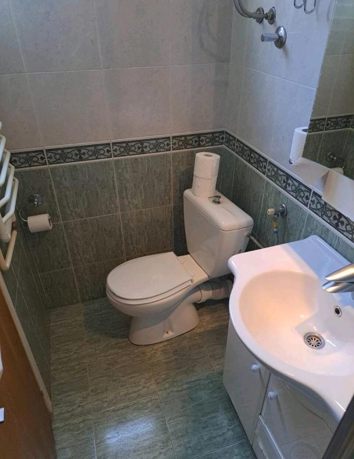 Apartman Milica 2023 贝尔格莱德 外观 照片